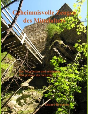Buchcover Geheimnisvolle Zeugen des Mittelalters | Eduard Brachetto | EAN 9783837000108 | ISBN 3-8370-0010-9 | ISBN 978-3-8370-0010-8