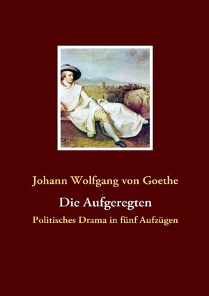 Buchcover Die Aufgeregten | Johann Wolfgang von Goethe | EAN 9783837018783 | ISBN 3-8370-1878-4 | ISBN 978-3-8370-1878-3