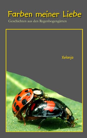 Buchcover Farben meiner Liebe | Xelanja | EAN 9783837042467 | ISBN 3-8370-4246-4 | ISBN 978-3-8370-4246-7