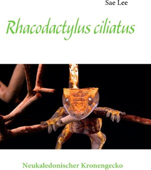 Buchcover Rhacodactylus ciliatus | Sae Lee | EAN 9783837050776 | ISBN 3-8370-5077-7 | ISBN 978-3-8370-5077-6