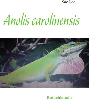 Buchcover Anolis carolinensis | Sae Lee | EAN 9783837085297 | ISBN 3-8370-8529-5 | ISBN 978-3-8370-8529-7