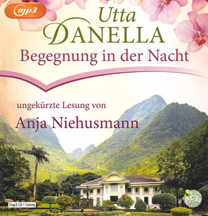 Buchcover Begegnung in der Nacht | Utta Danella | EAN 9783837153965 | ISBN 3-8371-5396-7 | ISBN 978-3-8371-5396-5