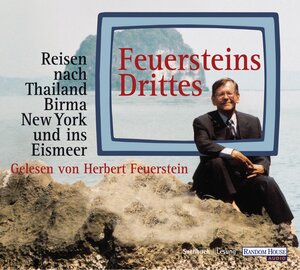 Buchcover Feuersteins Drittes | Herbert Feuerstein | EAN 9783837172416 | ISBN 3-8371-7241-4 | ISBN 978-3-8371-7241-6