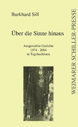 Buchcover Über die Sinne hinaus | Burkhard Sill | EAN 9783837205930 | ISBN 3-8372-0593-2 | ISBN 978-3-8372-0593-0