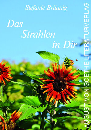 Buchcover Das Strahlen in Dir | Stefanie Bräunig | EAN 9783837227642 | ISBN 3-8372-2764-2 | ISBN 978-3-8372-2764-2