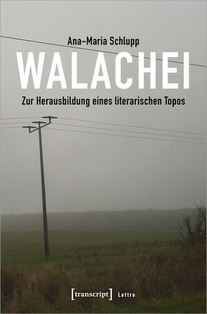 Buchcover Walachei | Ana-Maria Schlupp | EAN 9783837647839 | ISBN 3-8376-4783-8 | ISBN 978-3-8376-4783-9