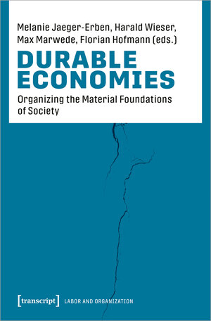 Buchcover Durable Economies  | EAN 9783837663969 | ISBN 3-8376-6396-5 | ISBN 978-3-8376-6396-9