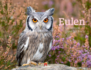 Buchcover Eulen Kalender 2023  | EAN 9783838433073 | ISBN 3-8384-3307-6 | ISBN 978-3-8384-3307-3