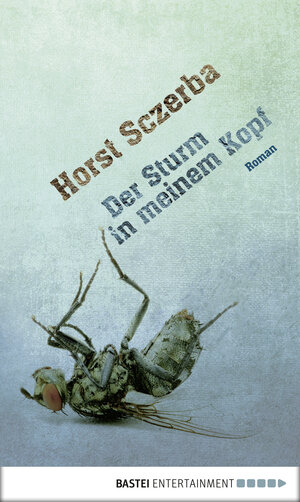 Buchcover Der Sturm in meinem Kopf | Horst Sczerba | EAN 9783838752914 | ISBN 3-8387-5291-0 | ISBN 978-3-8387-5291-4