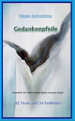 Buchcover Gedankenpfeile | Dieter Achtnichts | EAN 9783839169582 | ISBN 3-8391-6958-5 | ISBN 978-3-8391-6958-2