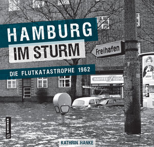 Buchcover Hamburg im Sturm | Kathrin Hanke | EAN 9783839200315 | ISBN 3-8392-0031-8 | ISBN 978-3-8392-0031-5
