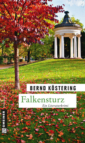 Buchcover Falkensturz | Bernd Köstering | EAN 9783839216002 | ISBN 3-8392-1600-1 | ISBN 978-3-8392-1600-2
