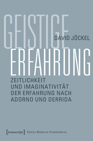 Buchcover Geistige Erfahrung | David Jöckel | EAN 9783839452318 | ISBN 3-8394-5231-7 | ISBN 978-3-8394-5231-8