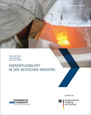 Buchcover Energieflexibilität in der deutschen Industrie  | EAN 9783839614792 | ISBN 3-8396-1479-1 | ISBN 978-3-8396-1479-2