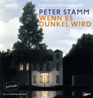Buchcover Wenn es dunkel wird | Peter Stamm | EAN 9783839871331 | ISBN 3-8398-7133-6 | ISBN 978-3-8398-7133-1