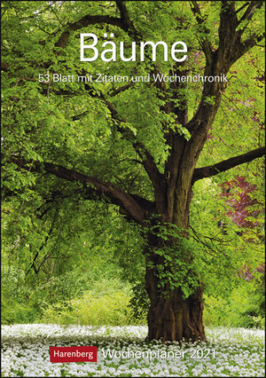 Buchcover Bäume Kalender 2021 | Margot Spohn | EAN 9783840024559 | ISBN 3-8400-2455-2 | ISBN 978-3-8400-2455-9