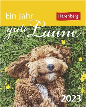 Buchcover Ein Jahr gute Laune Mini-Geschenkkalender 2023. Kleiner Kalender für jeden Tag Schmunzeln, mit 365 Zitaten zum Lachen. Aufstellkalender 2023 für die tägliche Portion Spaß. | Beatrix Braukmüller | EAN 9783840028946 | ISBN 3-8400-2894-9 | ISBN 978-3-8400-2894-6