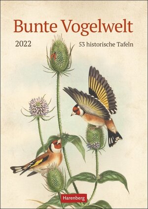 Buchcover Bunte Vogelwelt Kalender 2022  | EAN 9783840030024 | ISBN 3-8400-3002-1 | ISBN 978-3-8400-3002-4