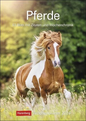 Buchcover Pferde Wochenplaner 2024. Wochenkalendarium, Zitate und Pferdefotos in einem praktischen Termin-Kalender. Funktion trifft auf Design: Hochwertiger Fotokalender mit Raum für Notizen  | EAN 9783840031649 | ISBN 3-8400-3164-8 | ISBN 978-3-8400-3164-9