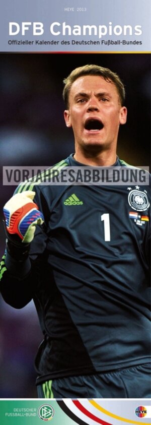 Buchcover DFB Vertical 2014 | EAN 9783840124693 | ISBN 3-8401-2469-7 | ISBN 978-3-8401-2469-3
