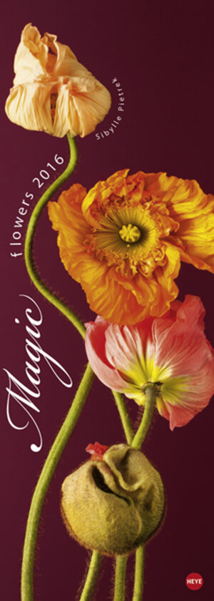 Buchcover Magic Flowers Vertical 2016 | Sibylle Pietrek | EAN 9783840138812 | ISBN 3-8401-3881-7 | ISBN 978-3-8401-3881-2