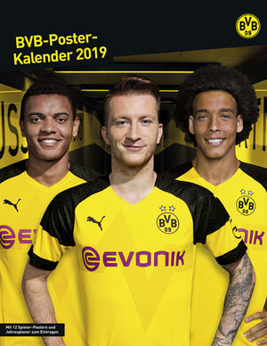 Buchcover Borussia Dortmund Posterkalender - Kalender 2019  | EAN 9783840158896 | ISBN 3-8401-5889-3 | ISBN 978-3-8401-5889-6