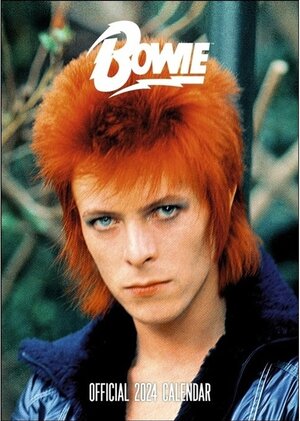 Buchcover David Bowie Posterkalender 2024. Der Posterkalender mit den besten Bildern der Pop-Legende David Bowie als Wandkalender.  | EAN 9783840196355 | ISBN 3-8401-9635-3 | ISBN 978-3-8401-9635-5