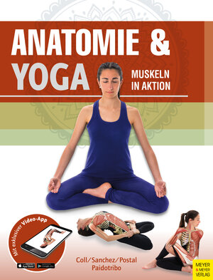 Buchcover Anatomie & Yoga  | EAN 9783840376061 | ISBN 3-8403-7606-8 | ISBN 978-3-8403-7606-1