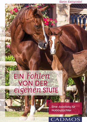 Buchcover Ein Fohlen von der eigenen Stute | Karin Kattwinkel | EAN 9783840415135 | ISBN 3-8404-1513-6 | ISBN 978-3-8404-1513-5