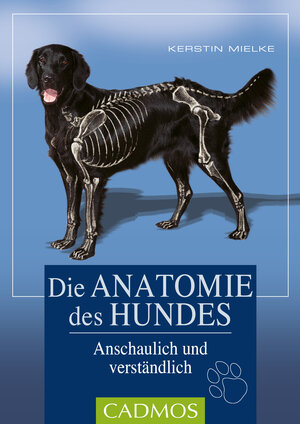 Buchcover Die Anatomie des Hundes | Kerstin Mielke | EAN 9783840420542 | ISBN 3-8404-2054-7 | ISBN 978-3-8404-2054-2