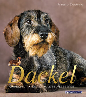 Buchcover Dackel | Annette Doehring | EAN 9783840428074 | ISBN 3-8404-2807-6 | ISBN 978-3-8404-2807-4