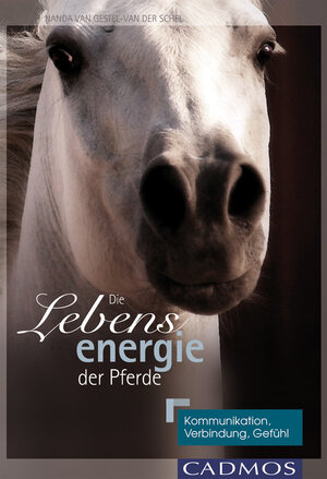 Buchcover Die Lebensenergie der Pferde | Nanda van Gestel-van der Schel | EAN 9783840461972 | ISBN 3-8404-6197-9 | ISBN 978-3-8404-6197-2