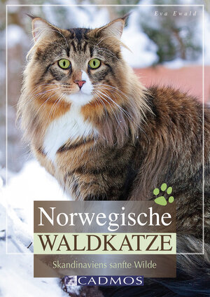 Buchcover Norwegische Waldkatze | Eva Ewald | EAN 9783840463051 | ISBN 3-8404-6305-X | ISBN 978-3-8404-6305-1