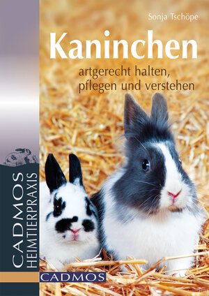 Buchcover Kaninchen | Sonja Tschöpe | EAN 9783840463495 | ISBN 3-8404-6349-1 | ISBN 978-3-8404-6349-5