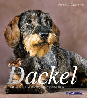 Buchcover Dackel | Anette Doering | EAN 9783840464201 | ISBN 3-8404-6420-X | ISBN 978-3-8404-6420-1