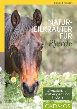 Buchcover Naturheilkräuter für Pferde | Claudia Naujoks | EAN 9783840464423 | ISBN 3-8404-6442-0 | ISBN 978-3-8404-6442-3