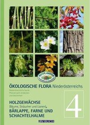 Buchcover Ökologische Flora – Nieder-Österreichs Pflanzenwelt entdecken und bestimmen | Wolfgang Holzner | EAN 9783840475269 | ISBN 3-8404-7526-0 | ISBN 978-3-8404-7526-9