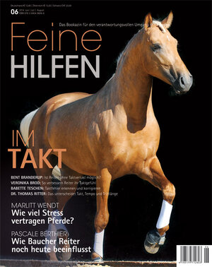 Buchcover Feine Hilfen, Ausgabe 6  | EAN 9783840496066 | ISBN 3-8404-9606-3 | ISBN 978-3-8404-9606-6