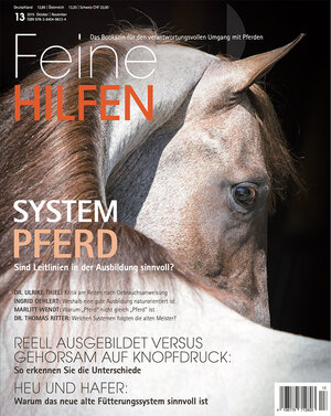 Buchcover Feine Hilfen, Ausgabe 13 | EAN 9783840496134 | ISBN 3-8404-9613-6 | ISBN 978-3-8404-9613-4