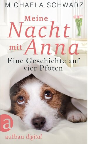 Buchcover Meine Nacht mit Anna | Michaela Schwarz | EAN 9783841228895 | ISBN 3-8412-2889-5 | ISBN 978-3-8412-2889-5