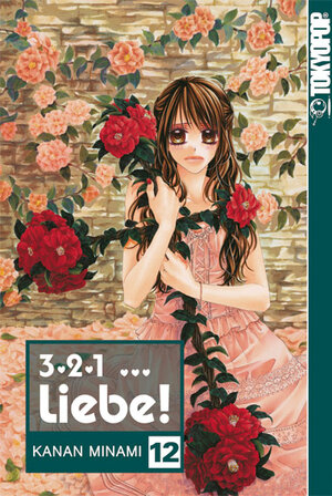 Buchcover 3, 2, 1 … Liebe! 12 | Kanan Minami | EAN 9783842002531 | ISBN 3-8420-0253-X | ISBN 978-3-8420-0253-1