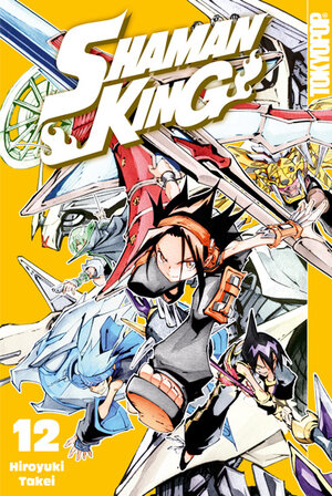 Buchcover Shaman King 12 | Hiroyuki Takei | EAN 9783842059634 | ISBN 3-8420-5963-9 | ISBN 978-3-8420-5963-4
