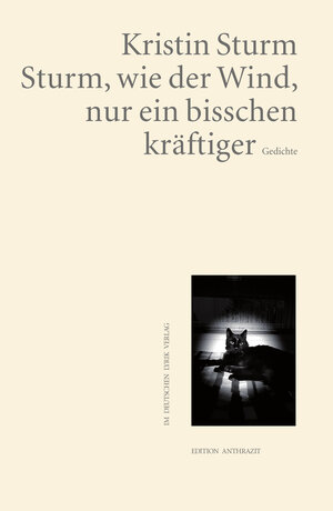 Buchcover Sturm, wie der Wind, nur ein bisschen kräftiger | Kristin Sturm | EAN 9783842247208 | ISBN 3-8422-4720-6 | ISBN 978-3-8422-4720-8