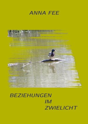 Buchcover Beziehungen im Zwielicht | Anna Fee | EAN 9783842347458 | ISBN 3-8423-4745-6 | ISBN 978-3-8423-4745-8