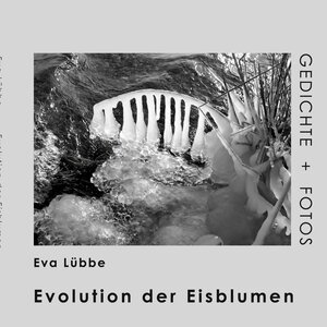 Buchcover Evolution der Eisblumen | Eva Lübbe | EAN 9783842356238 | ISBN 3-8423-5623-4 | ISBN 978-3-8423-5623-8