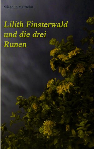 Buchcover Lilith Finsterwald und die drei Runen | Michelle Mattfeldt | EAN 9783842356412 | ISBN 3-8423-5641-2 | ISBN 978-3-8423-5641-2