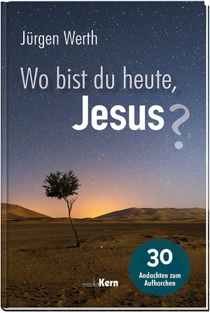 Buchcover Wo bist du heute, Jesus? | Jürgen Werth | EAN 9783842916395 | ISBN 3-8429-1639-6 | ISBN 978-3-8429-1639-5