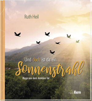 Buchcover Und doch ist da ein Sonnenstrahl | Ruth Heil | EAN 9783842935754 | ISBN 3-8429-3575-7 | ISBN 978-3-8429-3575-4