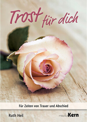 Buchcover Trost für dich | Ruth Heil | EAN 9783842943131 | ISBN 3-8429-4313-X | ISBN 978-3-8429-4313-1