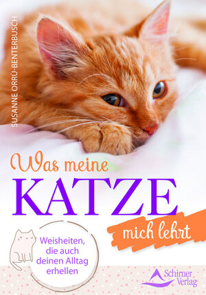 Buchcover Was meine Katze mich lehrt | Susanne Orrù-Benterbusch | EAN 9783843451758 | ISBN 3-8434-5175-3 | ISBN 978-3-8434-5175-8